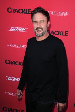 David Arquette