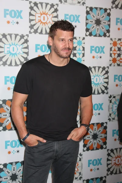 David Boreanaz — Stok fotoğraf