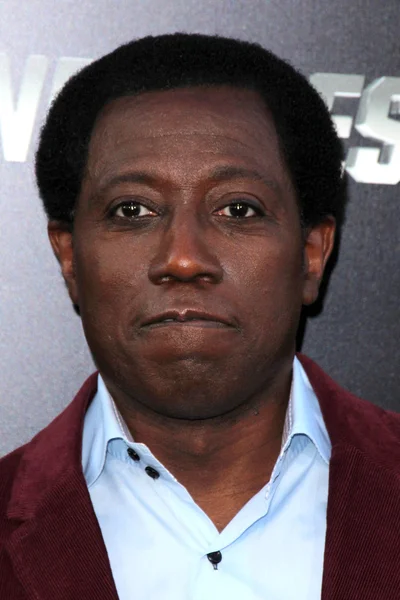 Wesley Snipes — Stock Photo, Image