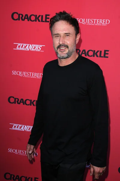 David Arquette — Stock Photo, Image