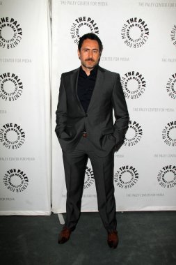Demian Bichir