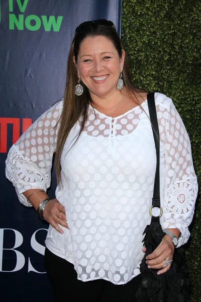 Camryn Manheim'ın — Stok fotoğraf