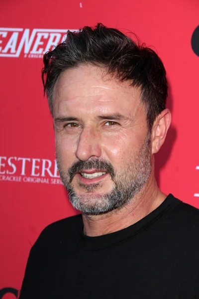 David Arquette —  Fotos de Stock