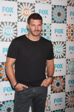 David Boreanaz