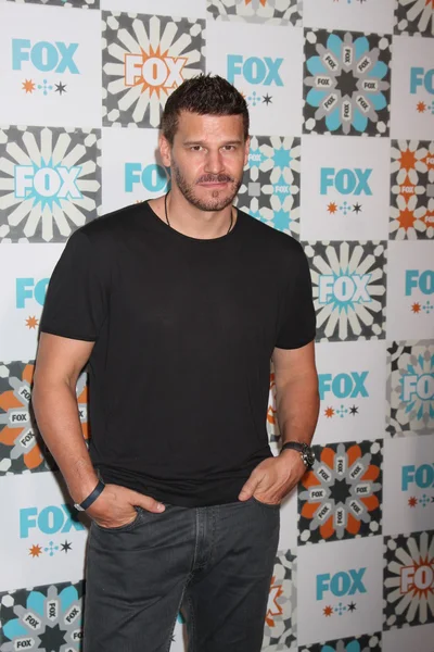 David Boreanaz — Photo