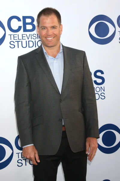 Michael Weatherly — Stockfoto