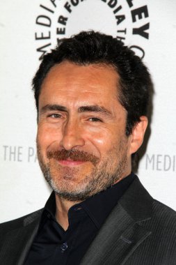 Demian Bichir