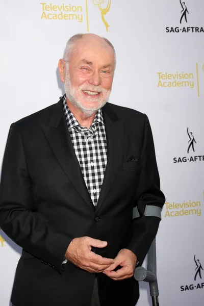 Robert David Hall. —  Fotos de Stock