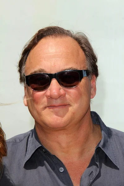 James Belushi — Stockfoto