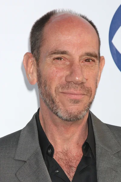 Miguel Ferrer —  Fotos de Stock