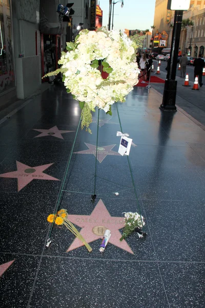 Flowers on Casey Kasem's Star — Stock Photo, Image