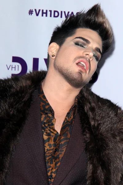 Adam Lambert — Stockfoto