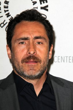 Demian Bichir