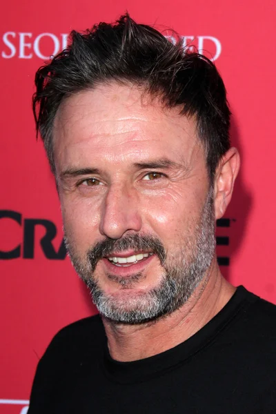 David Arquette — Stockfoto