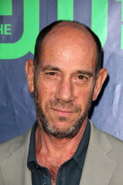 Miguel Ferrer — Stockfoto