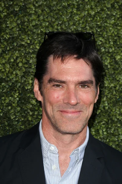 Thomas Gibson — Stock fotografie