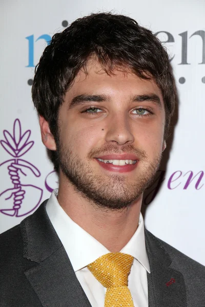 David Lambert. —  Fotos de Stock