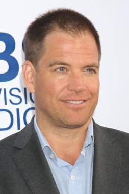 Michael Weatherly'nin