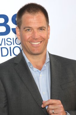Michael Weatherly'nin