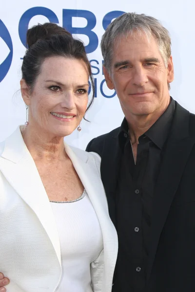 Chelsea Field e Scott Bakula — Foto Stock