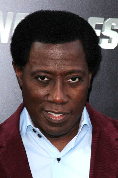 Wesley Snipes — Foto Stock