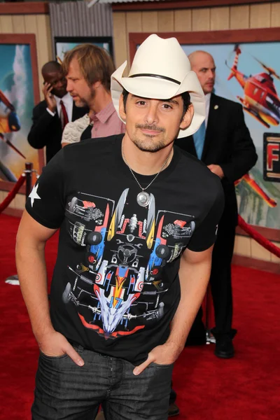 Brad Paisley — Stock Photo, Image