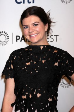 Casey Wilson