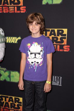 Ty simpkins