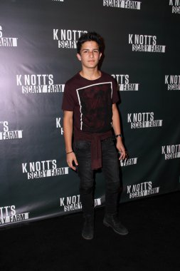 Aramis Knight