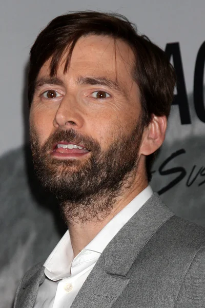 David Tennant — Stock Photo, Image