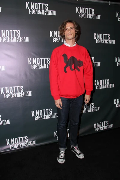 Matthew Gray Gubler — Stockfoto