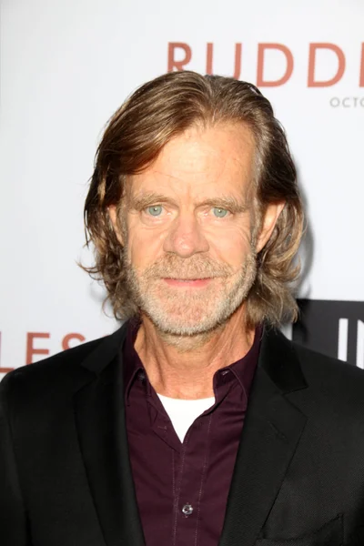 William H. Macy — Stock fotografie