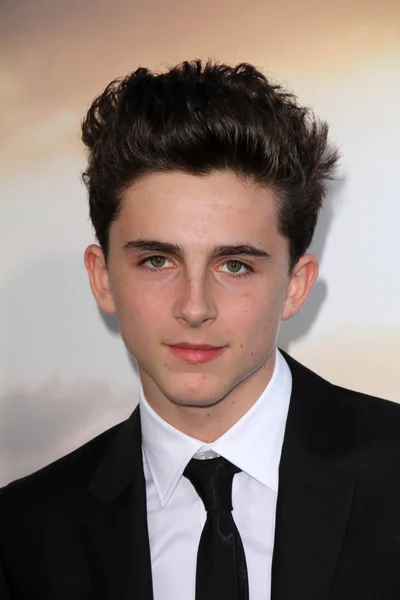 Timothee Chalamet — Stock Photo, Image