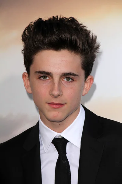 Timothee Chalamet — Stock Photo, Image