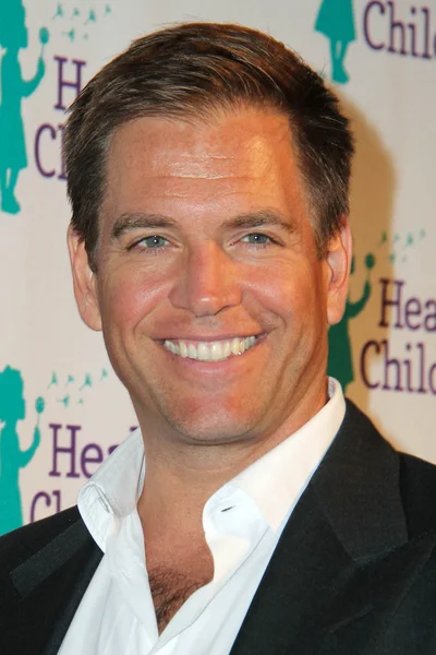 Michael Weatherly — Fotografia de Stock