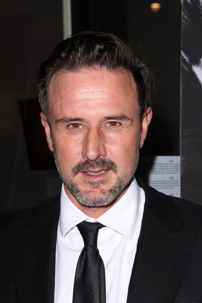 David Arquette - Stock-foto