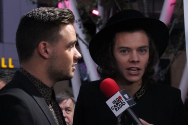 Liam Payne, Harry stilleri