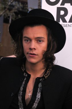 harry stilleri