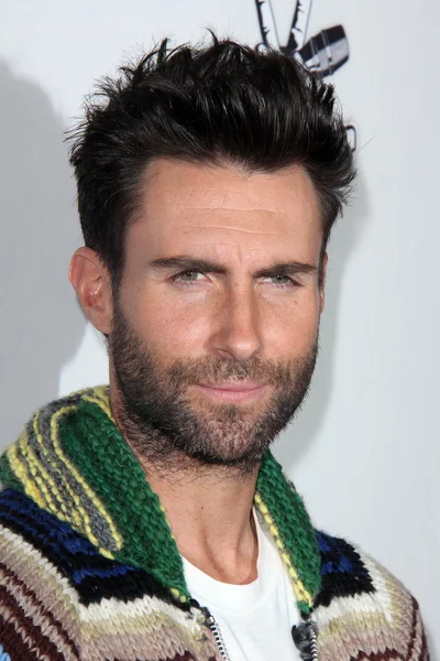 Adam Levine — Φωτογραφία Αρχείου