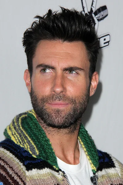 Adam Levine — Stockfoto