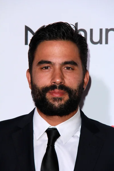 Ignacio Serricchio — Stockfoto