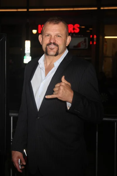 Chuck Liddell — Foto Stock