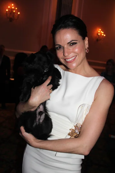 Lana Parrilla —  Fotos de Stock