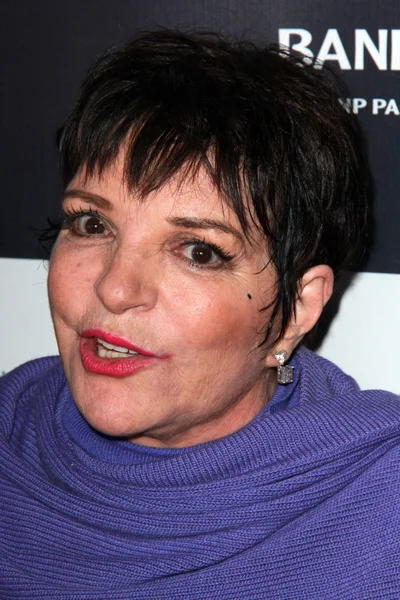 Liza Minelli — Stock Fotó