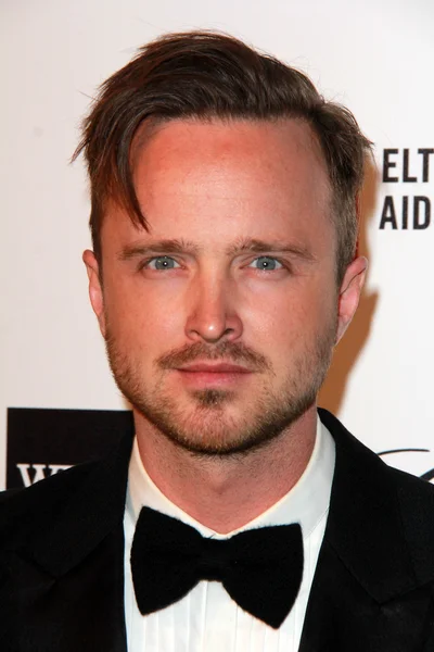 Aaron Paul — Stockfoto