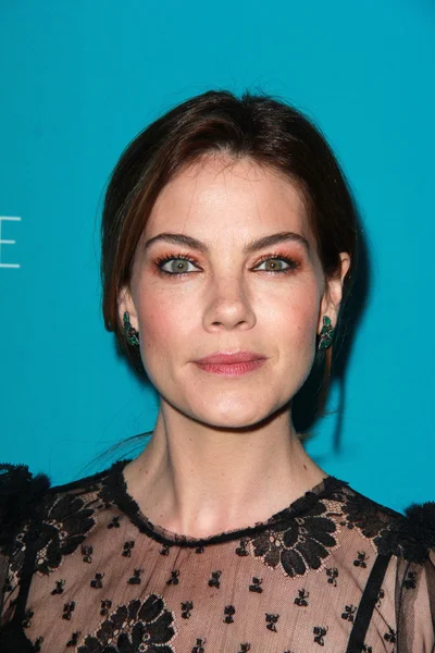 Michelle Monaghan — Foto Stock