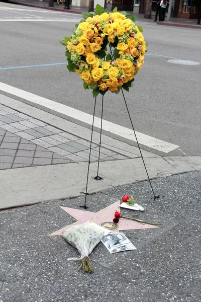 Цветы на звезде Леонарда Нимоя — стоковое фото