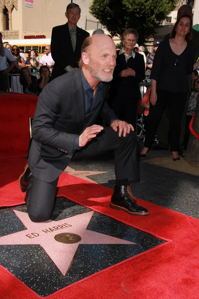 Ed Harris — Stock Photo, Image