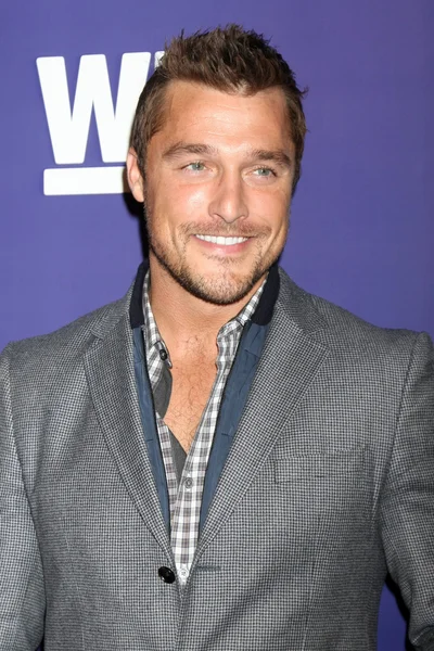 Chris Soules — Foto Stock