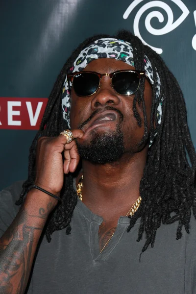 Wale — Stock Photo, Image